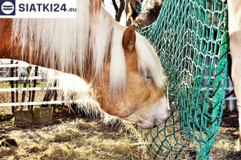 Siatki Gostyń - Siatki hodowlane - zabezpiecz hodowlę siatką dla terenów Gostynia